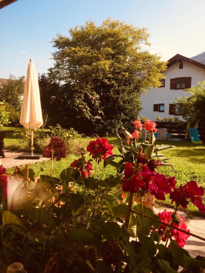 Charmantes Garten-Apartment: Erholung Im Chiemgau Unterwössen Extérieur photo
